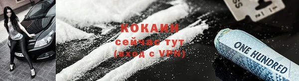 прущая мука Богородицк