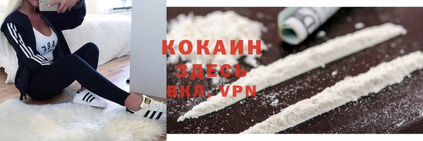 дурь Белоозёрский