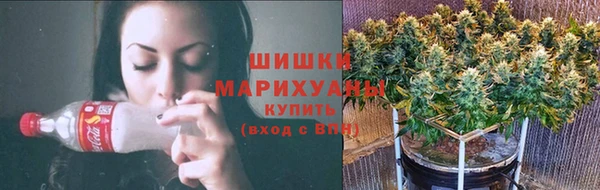 трава Белокуриха