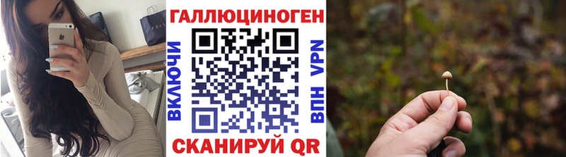 дарнет шоп кракен tor Псилоцибиновые грибы Magic Shrooms Белокуриха